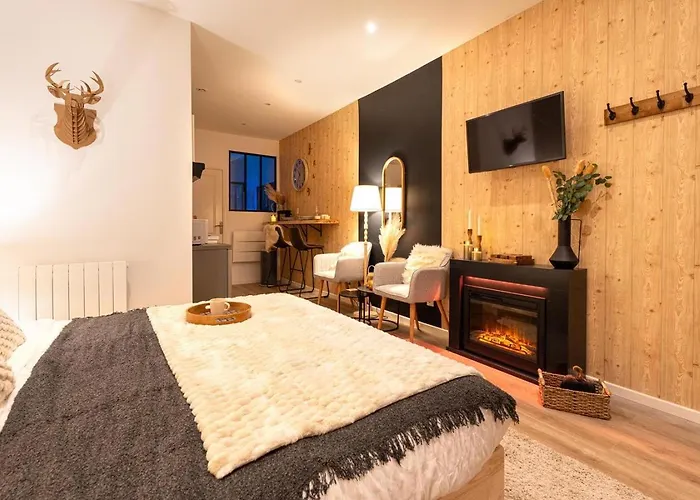 Daire Le Nid Douillet, Center, Jacuzzi, Sensory Shower *